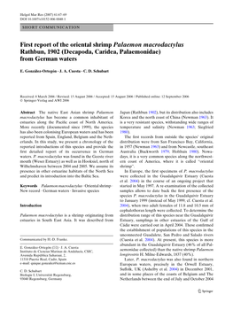 First Report of the Oriental Shrimp Palaemon Macrodactylus Rathbun, 1902 (Decapoda, Caridea, Palaemonidae) from German Waters