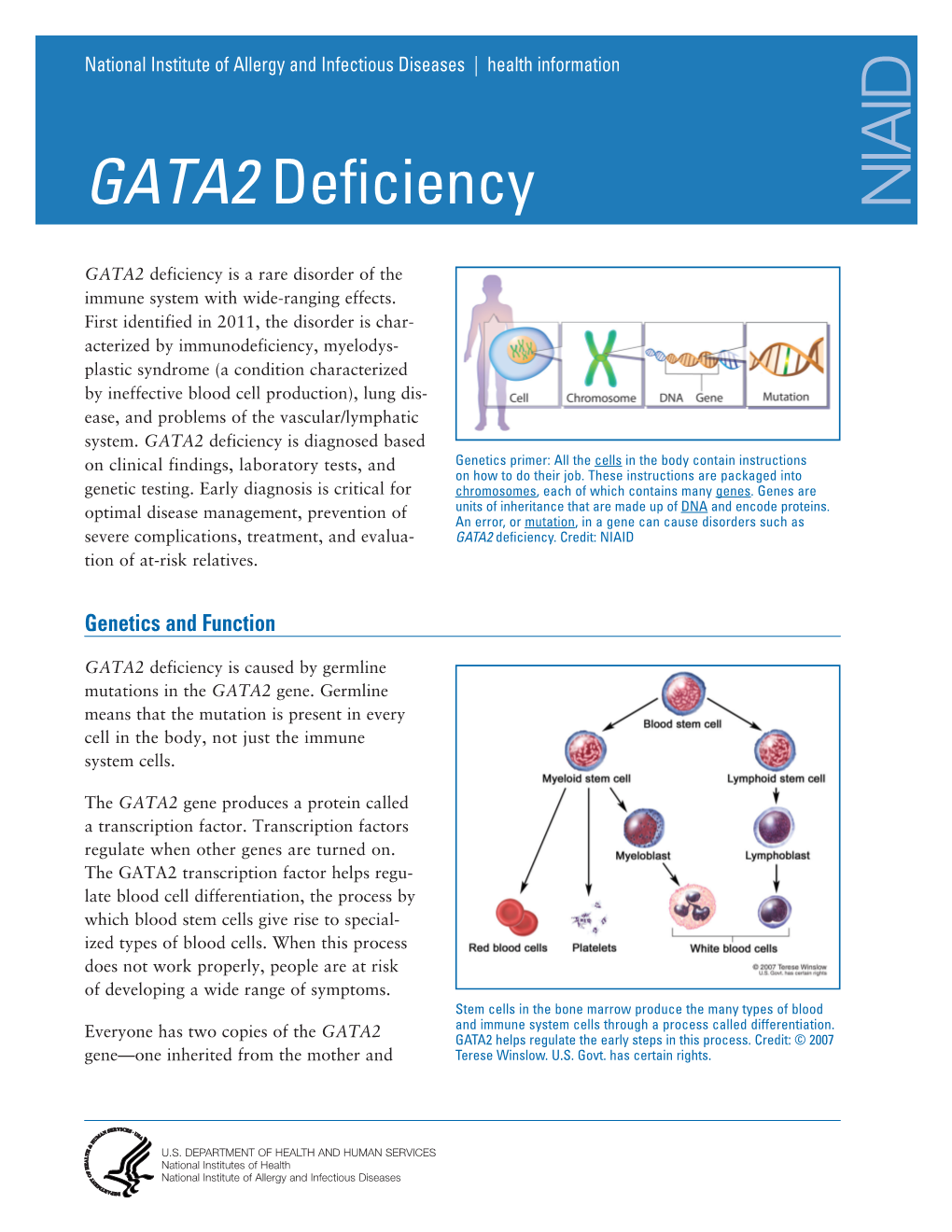 GATA2 Deficiency NIAID