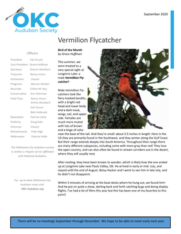Vermilion Flycatcher