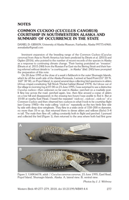 Notes Common Cuckoo (Cuculus Canorus) Courtship in Southwestern Alaska and Summary of Occurrence in the State Daniel D