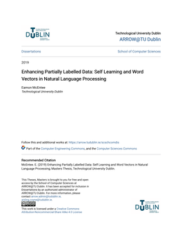 Enhancing Partially Labelled Data: Self Learning and Word Vectors in Natural Language Processing