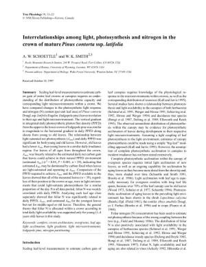 Interrelationships Among Light, Photosynthesis and Nitrogen in the Crown of Mature Pinus Contorta Ssp