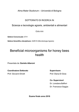Beneficial Microorganisms for Honey Bees Health