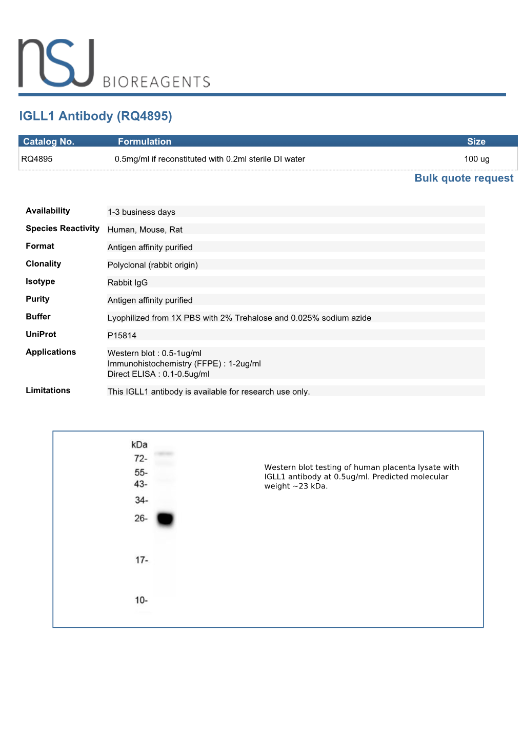 IGLL1 Antibody (RQ4895)