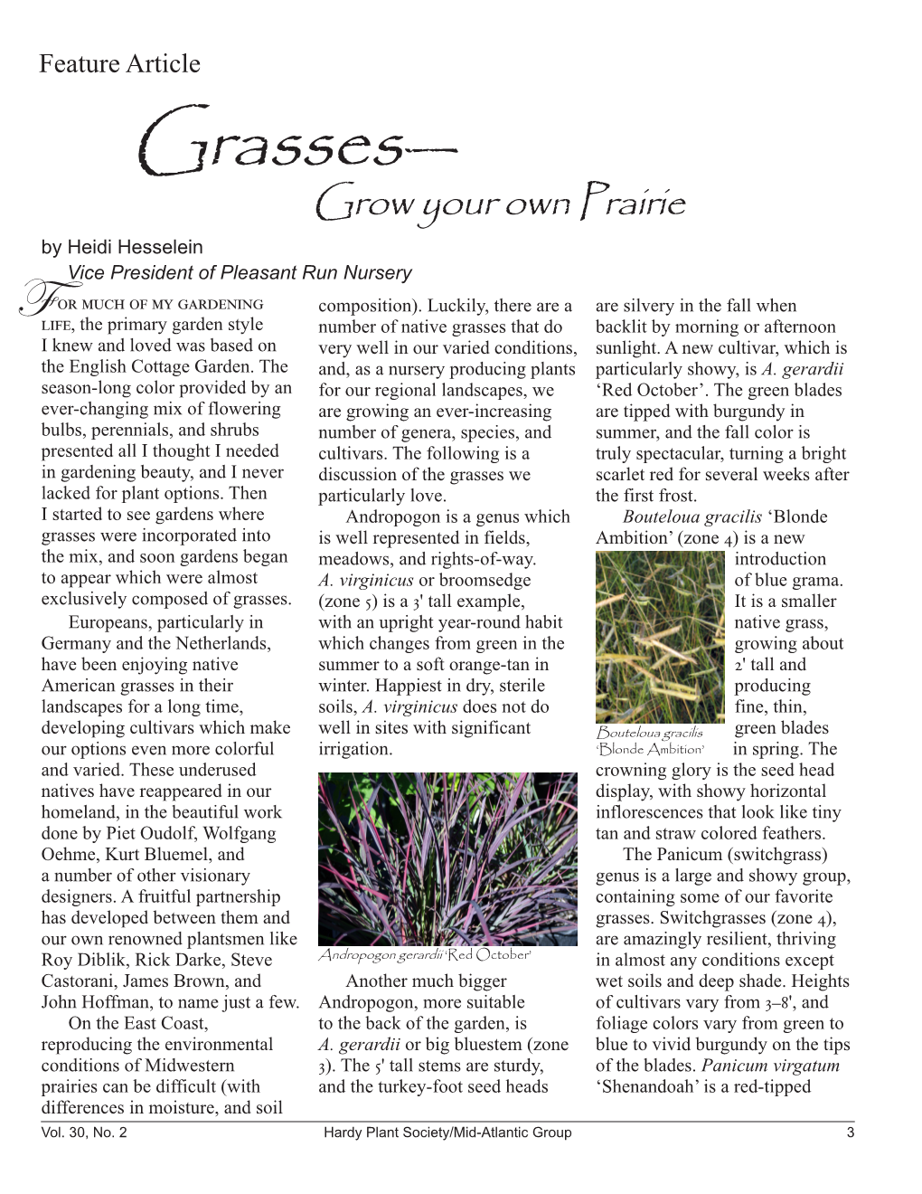 Grasses— Grow Your Own Prairie by Heidi Hesselein Vice President of Pleasant Run Nursery Or Much of My Gardening Composition)