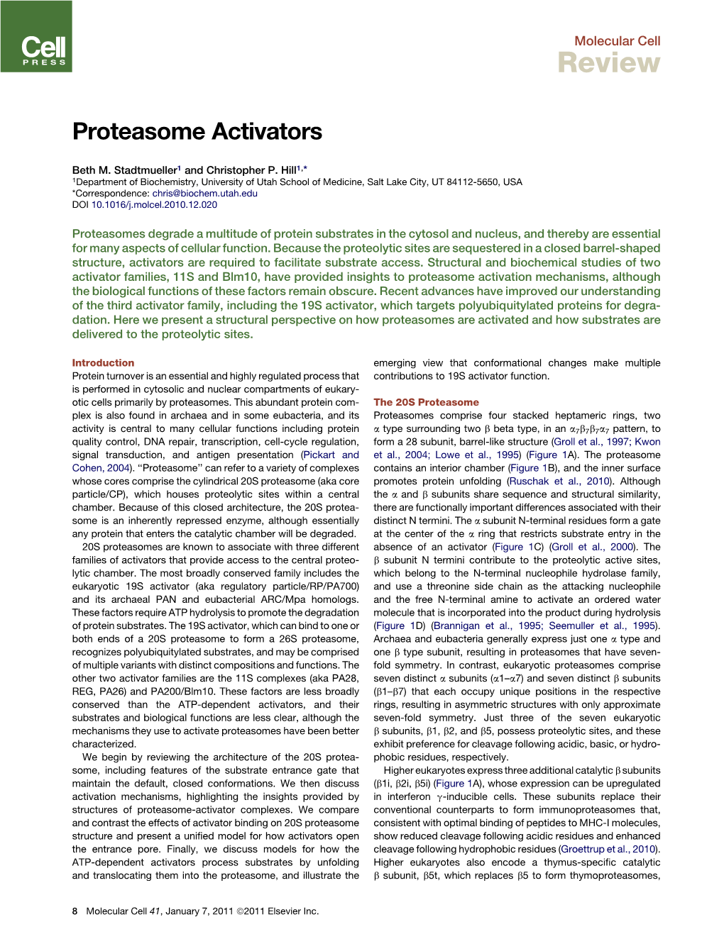 Proteasome Activators