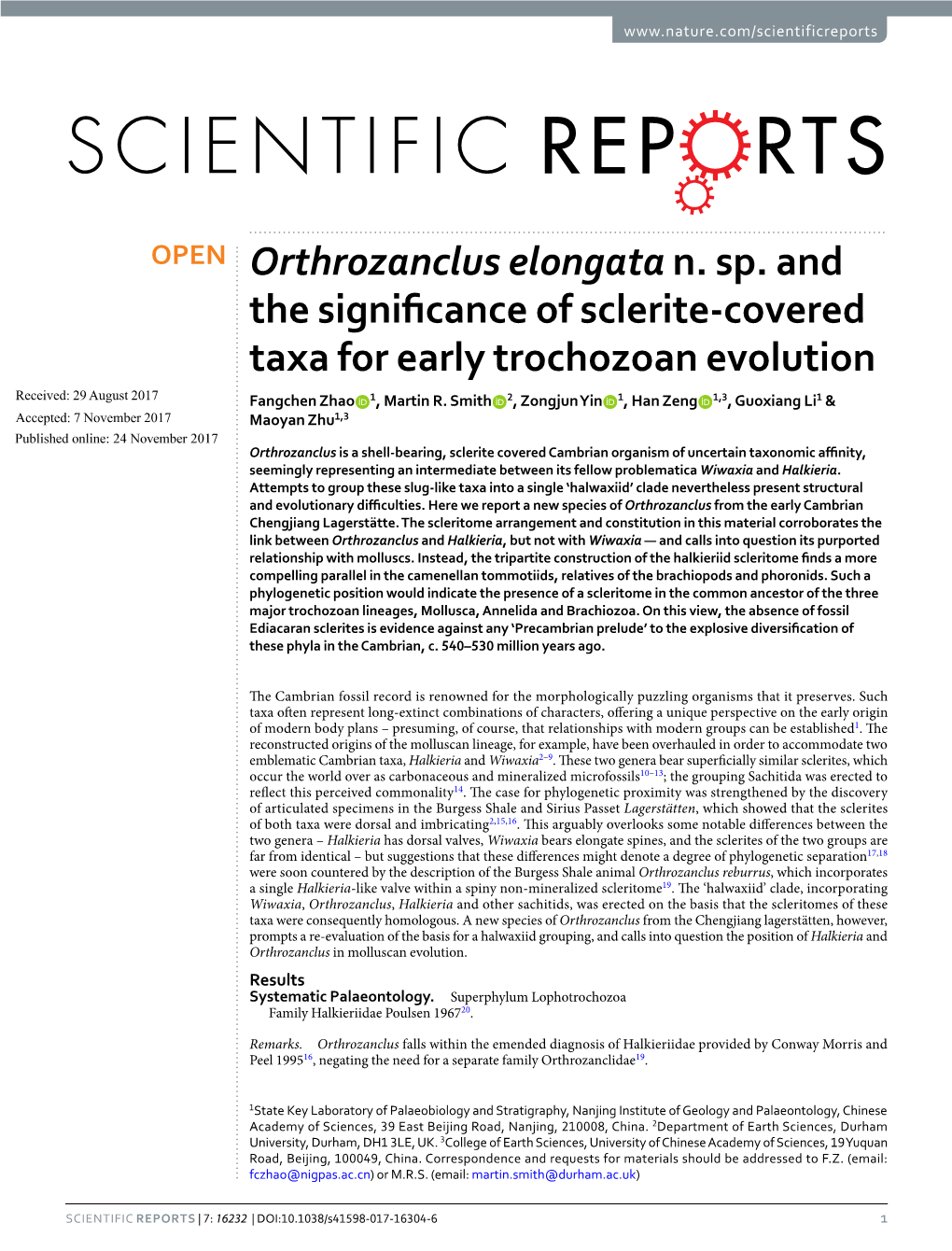 Orthrozanclus Elongata N. Sp. and the Significance of Sclerite-Covered Taxa