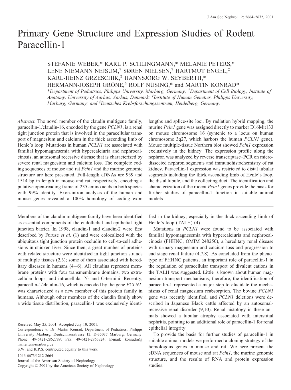 Primary Gene Structure and Expression Studies of Rodent Paracellin-1