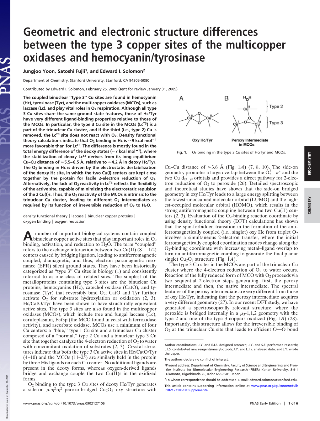 Geometric and Electronic Structure Differences Between the Type 3 Copper Sites of the Multicopper Oxidases and Hemocyanin/Tyrosinase