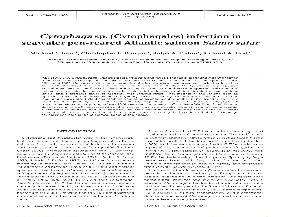 Cytophaga Sp. (Cytophagales) Infection in Seawater Pen-Reared Atlantic Salmon Salmo Salar