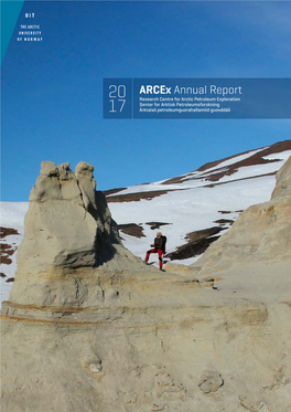 Arcex Annual Report 2017