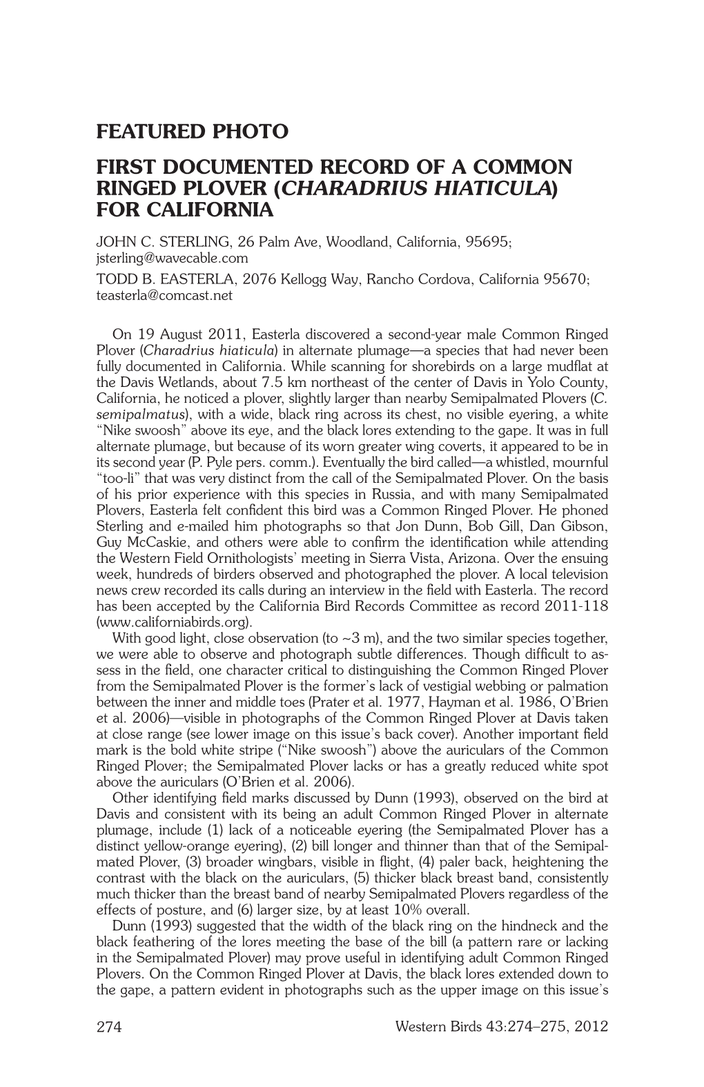 Charadrius Hiaticula) for California John C
