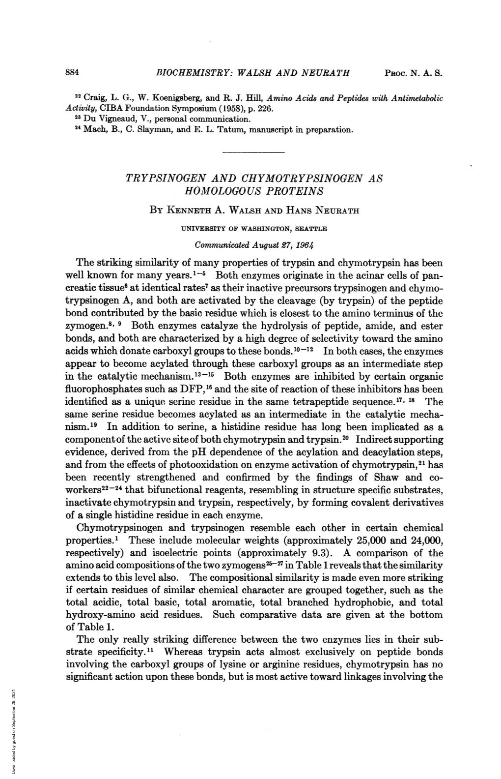 Whereas Trypsin Acts Almost Exclusively on Peptide Bonds