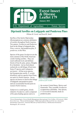Diprionid Sawflies on Lodgepole and Ponderosa Pines
