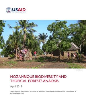 USAID/Mozambique Tropical Forests and Biodiversity Analysis
