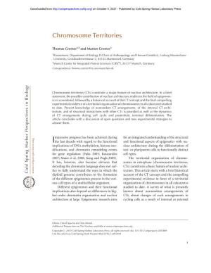 Chromosome Territories