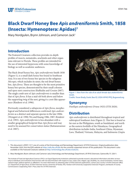 Black Dwarf Honey Bee Apis Andreniformis Smith, 1858 (Insecta: Hymenoptera: Apidae)1 Mary Nordgulen, Brynn Johnson, and Cameron Jack2