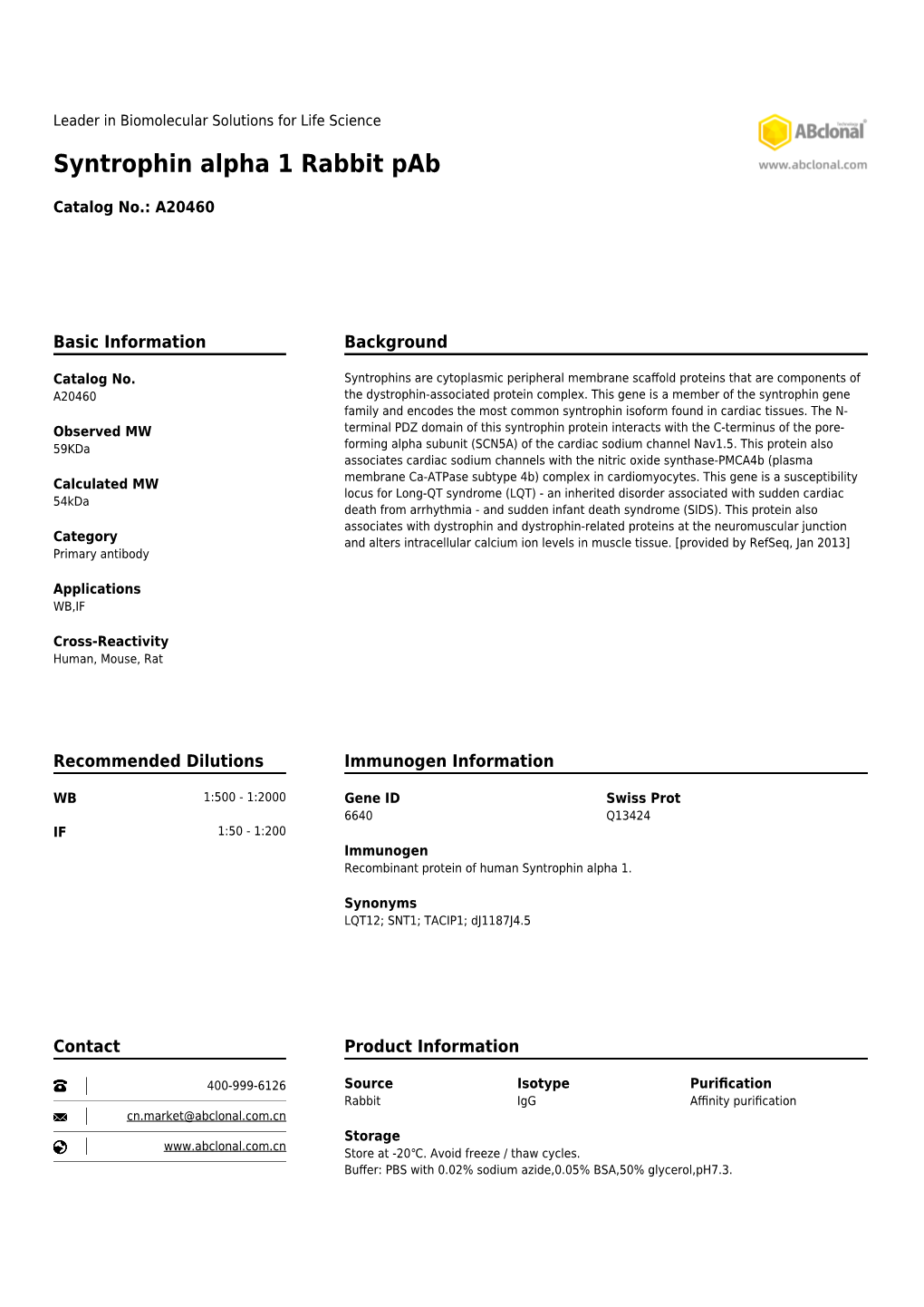 Syntrophin Alpha 1 Rabbit Pab