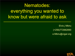 Nematodes: Everything You Wanted to Know but Were Afraid to Ask