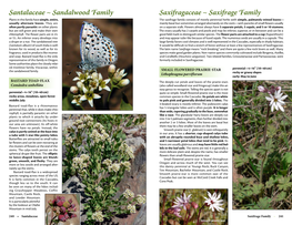 Saxifragaceae ~ Saxifrage Family Santalaceae
