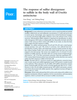 The Response of Sulfur Dioxygenase to Sulfide in the Body Wall of Urechis Unincinctus