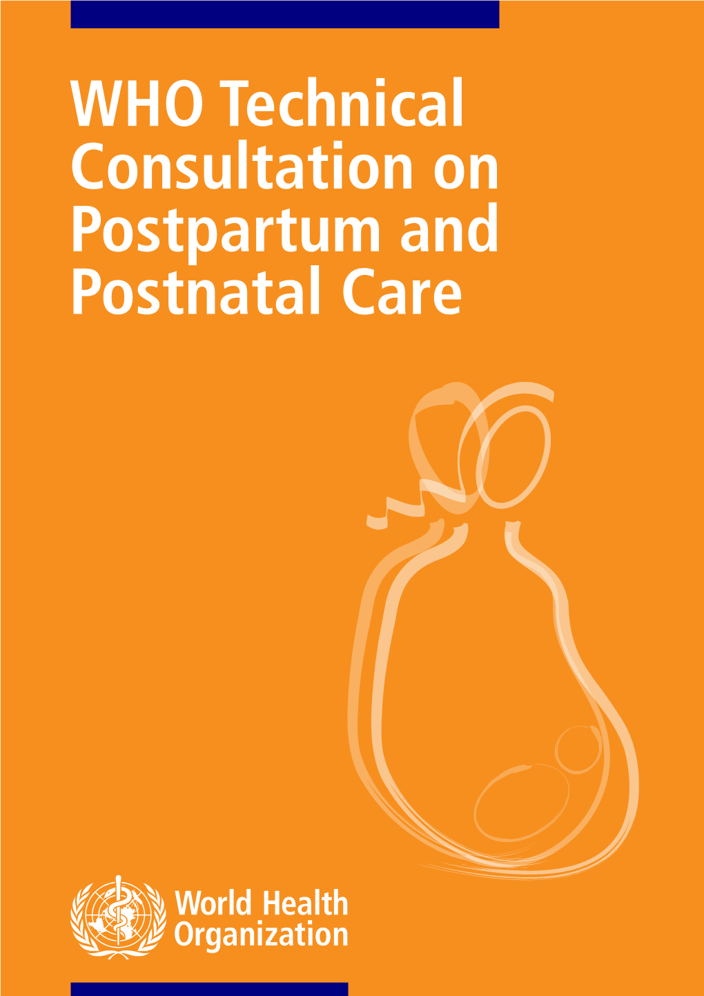 WHO Technical Consultation on Postpartum and Postnatal Care