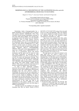 MORPHOLOGICAL DESCRIPTION of the GASTROPOD Heleobia Australis (HYDROBIIDAE) from EGG to HATCHING