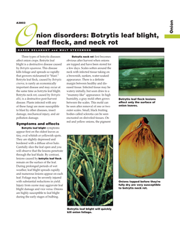 Onion Disorders: Botrytis Leaf Blight, Leaf Fleck, and Neck Rot (A3803)