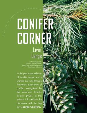 In the Past Three Editions of Conifer Corner, We've Worked Our Way