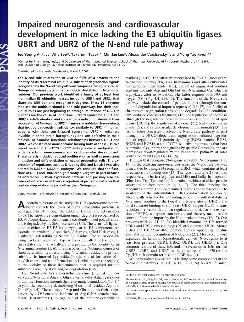 Impaired Neurogenesis and Cardiovascular Development in Mice Lacking the E3 Ubiquitin Ligases UBR1 and UBR2 of the N-End Rule Pathway