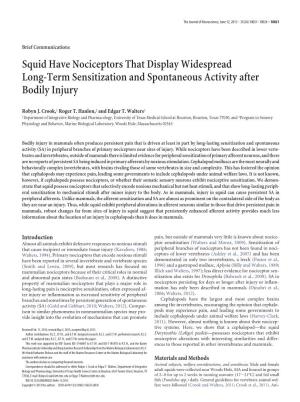 Squid Have Nociceptors That Display Widespread Long-Term Sensitization and Spontaneous Activity After Bodily Injury
