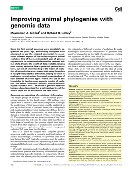 Improving Animal Phylogenies with Genomic Data