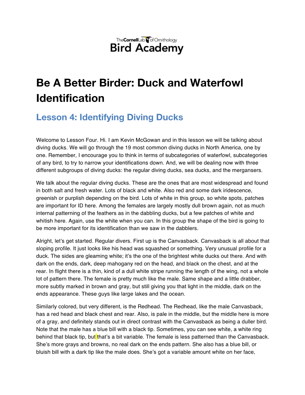 Duck and Waterfowl Identification