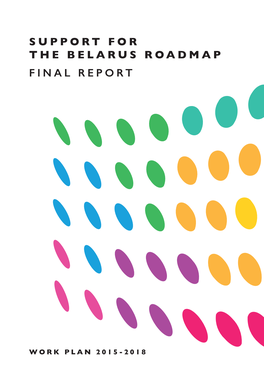 Support for the Belarus Roadmap Final Report