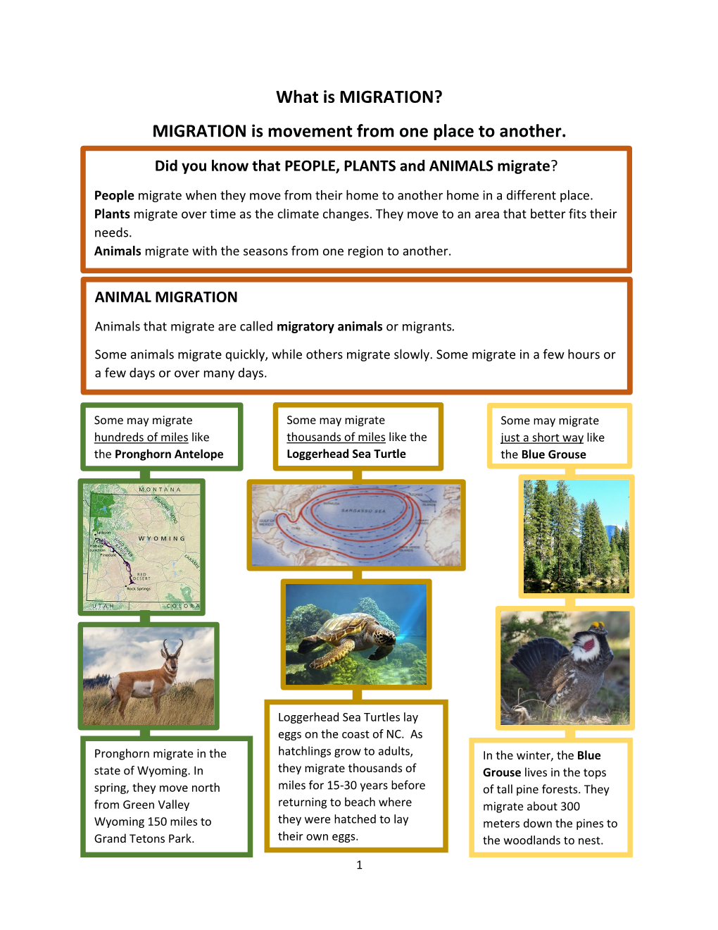 ANIMAL MIGRATION Animals That Migrate Are Called Migratory Animals Or Migrants