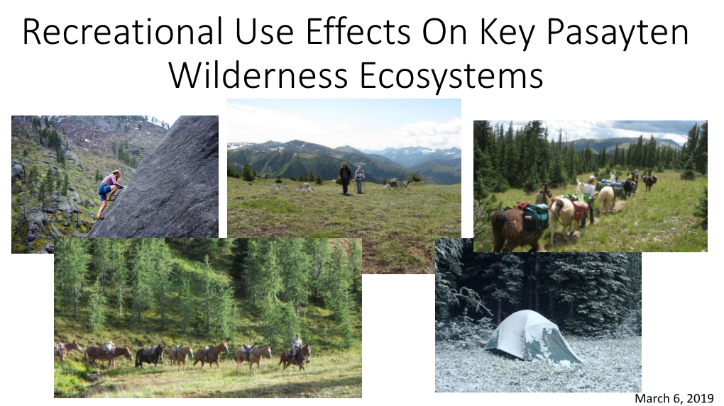 Recreational Use Effects on Key Pasayten Wilderness Ecosystems