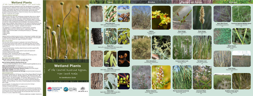 Wetland Plants of the Central Riverina Region, New South Wales