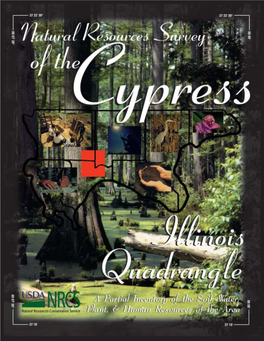 The Natural Resources Survey of the Cypress, Illinois