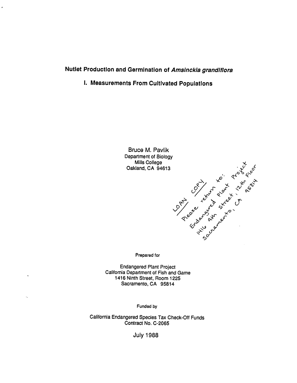 Nutlet Production and Germination of Amsinckia Arandiflora I