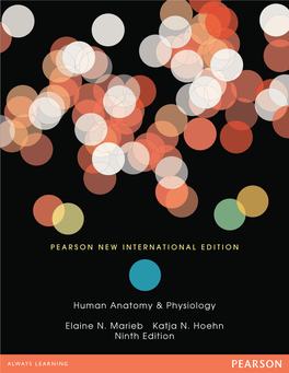 Human Anatomy & Physiology Elaine N. Marieb Katja N. Hoehn Ninth