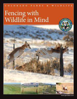 Fencing with Wildlife in Mind
