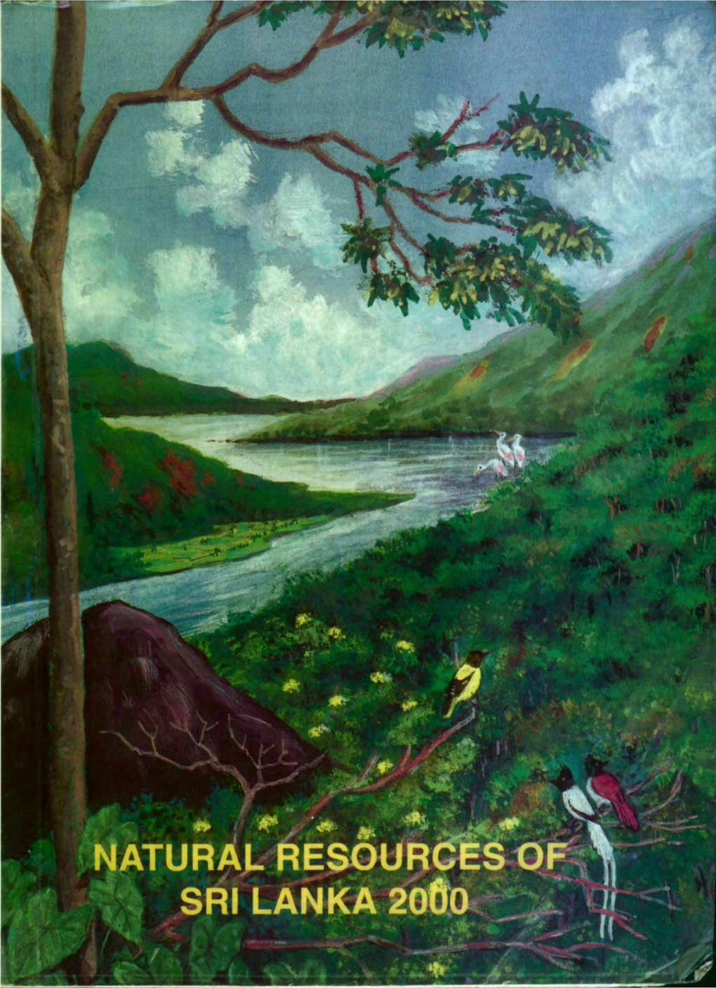 Natural Resources of Sri Lanka 2000