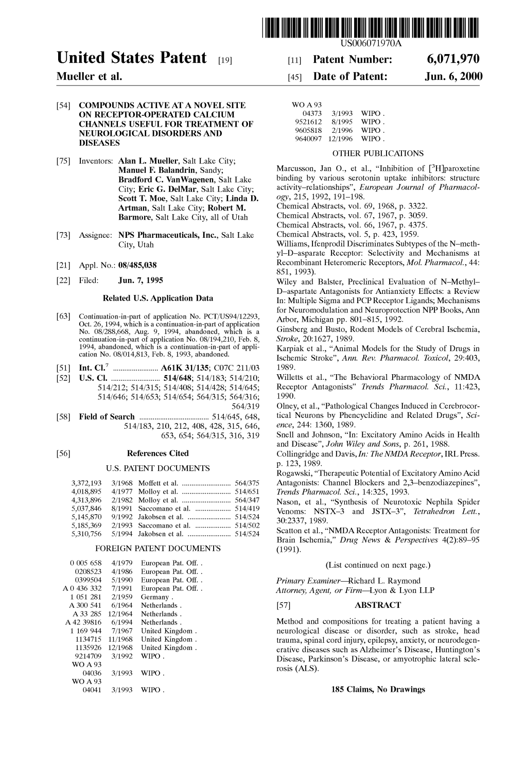 United States Patent (19) 11 Patent Number: 6,071,970 Mueller Et Al