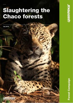 The Gran Chaco Jaguars 3