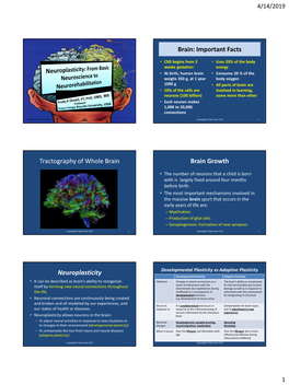 Neuroplasticity