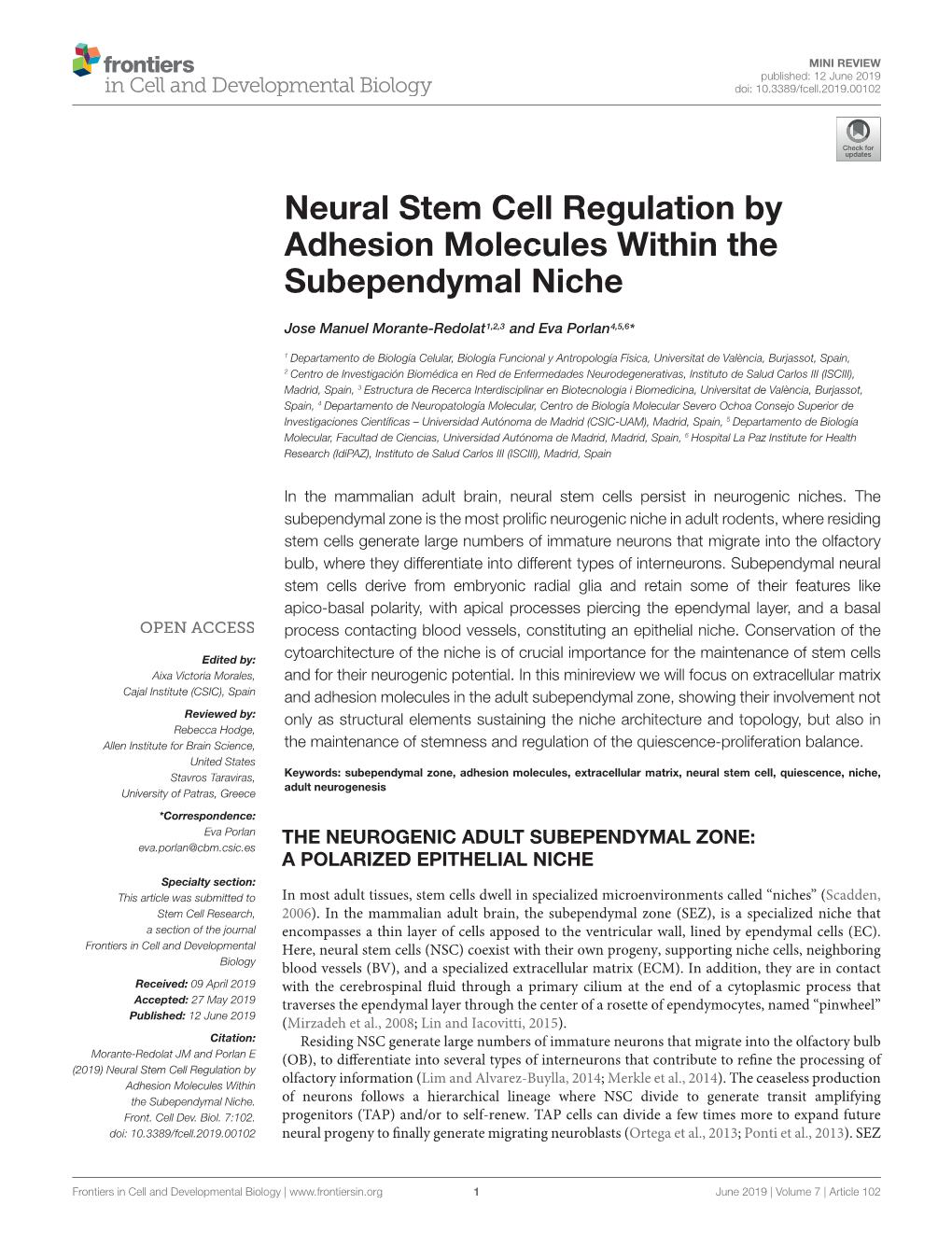 Neural Stem Cell Regulation by Adhesion Molecules Within the Subependymal Niche