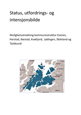 Status, Utfordrings- Og Intensjonsbilde