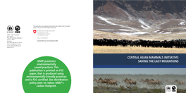 CENTRAL ASIAN MAMMALS INITIATIVE: UNEP Promotes SAVING the LAST MIGRATIONS Environmentally Sound Practices