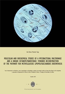 Molecular and Biochemical Studies of a Mycobacterial