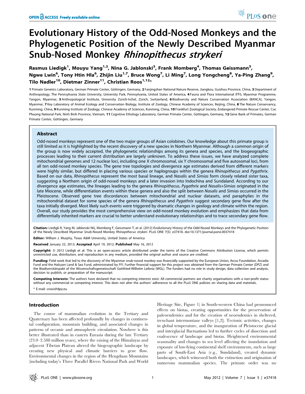 Snub-Nosed Monkey Rhinopithecus Strykeri